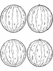 Tasty watermelon balls minimalist line art illustration design.eps
