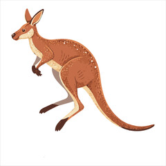 kangaroo Vector