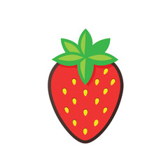 strawberry vector illustration