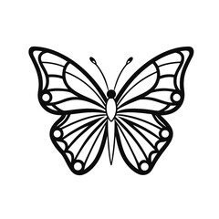 butterfly line art  vector