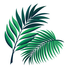 Fototapeta premium Two lush green tropical palm leaves isolated on white.