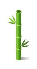 Fototapeta premium Green bamboo stalk with leaves on white background, plant concept