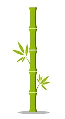 Green bamboo stalk with leaves, nature element on white background