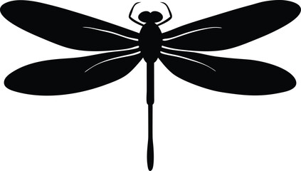 dragonfly vector