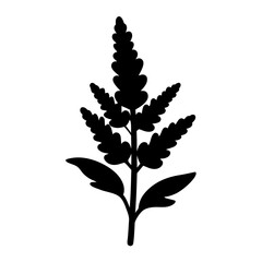 Black and white illustration of astilbe , flower silhouette vector designs.