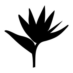 Black and white illustration of bird of paradise , flower silhouette vector designs.