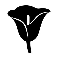 Black and white illustration of calla lily , flower silhouette vector designs.