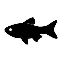 Fototapeta premium celestial pearl danio fish vector silhouette icon, black and white illustration of fish.