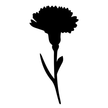 recommend clip art: Black and white illustration of carnation , flower silhouette vector designs.