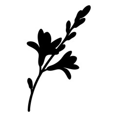 Black and white illustration of crocosmia , flower silhouette vector designs.