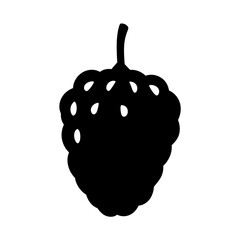 custard apple vector silhouette icon, black and white illustration of fruits.