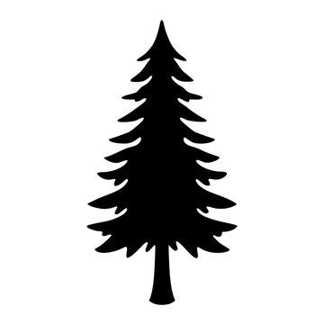douglas fir tree vector silhouette icon, black and white illustration of trees.