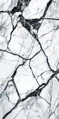 Obraz premium Abstract White Marble Texture with Black Veining