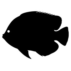 green terror fish vector silhouette icon, black and white illustration of fish.