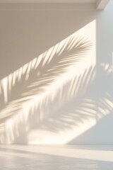 Palm Shadow on White Wall