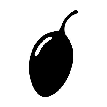 mamoncillo vector silhouette icon, black and white illustration of fruits.