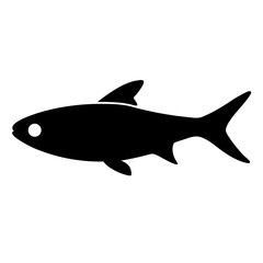 neon tetra fish vector silhouette icon, black and white illustration of fish.