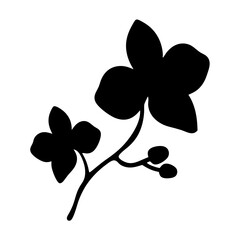 Black and white illustration of orchid , flower silhouette vector designs. © Tanjila