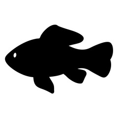 plecostomus fish vector silhouette icon, black and white illustration of fish.