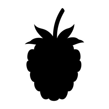 raspberry vector silhouette icon, black and white illustration of fruits.