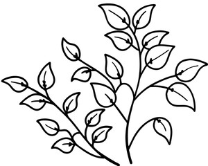 Simple Leaf, OutlinesBranching Leaves, Outline of Leaves, Leaf Design