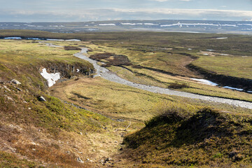 River Gorsajohka flowing in the highlands of Varanger Peninsula. A flock of reindeers grazing in the valley. Finmark, Northern Norway