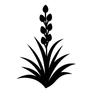 Black and white illustration of yucca , flower silhouette vector designs.