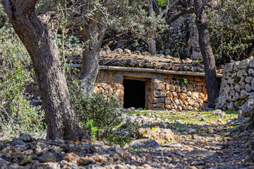 Old stone house in an olive grove with stone walls © Lars Johansson
