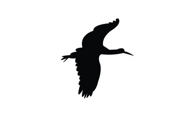 Flying African woolly necked stork bird Silhouette Design  And Vector Illustration. 
