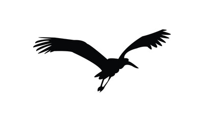 Obraz premium Flying African woolly necked stork bird Silhouette Design And Vector Illustration. 