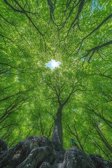 Obraz premium 47. A mesmerizing glimpse into the jungle showcases the intricate web of life that thrives within its depths. Towering trees create a natural cathedral, their leaves filtering sunlight that 