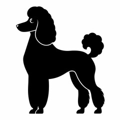 Elegant Black Poodle Silhouette