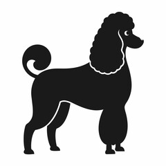 Elegant Black Poodle Silhouette