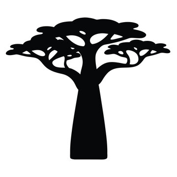 baobab tree vector silhouette icon, black and white illustration of trees.
