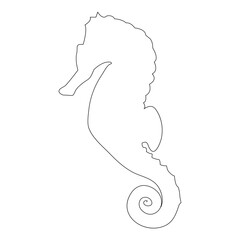 Seahorse, Marine animal, Ocean creature, Tropical fish, Underwater life, 