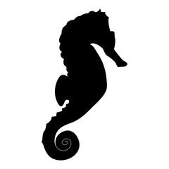 Seahorse, Marine animal, Ocean creature, Tropical fish, Underwater life, 