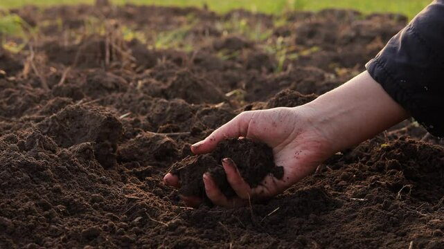 A hand gently sifts dark, fertile soil over a tilled field, illustrating soil examination for agriculture or gardening.