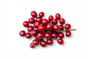bunch of red coffee beans 