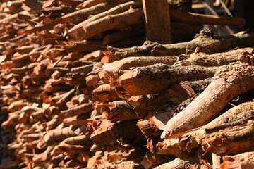 pile of wood log in the country home with sunlight, firewood for fuel
