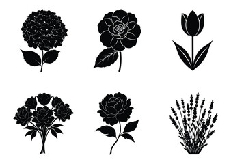 set of plant and flower silhouettes, Lovely Lavender Medley flower, Garden Hydrangea flower,Peony flower,Precious Peony Bouquet flower,Tulip flower, Begonia flower vector..
