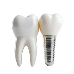 Healthy human tooth is showcased next to a dental implant on a white background representing dentistry, treatment, and the importance of oral hygiene and care.