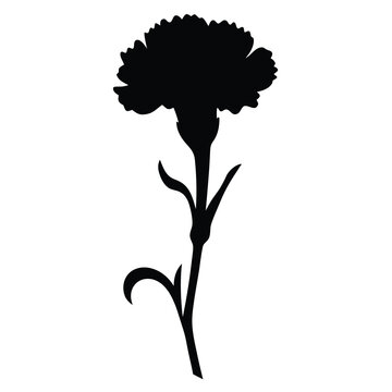 recommend clip art: Black and white illustration of carnation , flower silhouette vector designs.