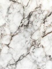 White Marble Texture with Gray and Brown Veining