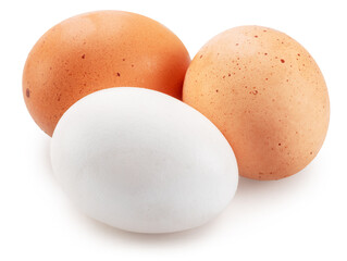 Chicken eggs on white background. File contains clipping path.
