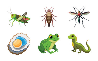 set of funny animals