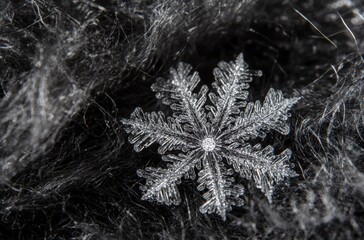 A high-resolution macro shot of a snowflake on a black wool surface