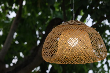 close up of a tree