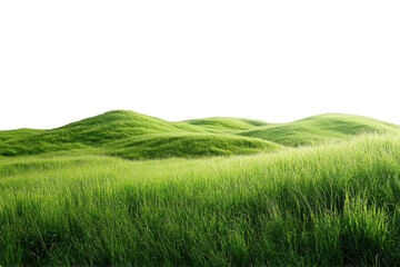 Obraz premium Fresh green rice plant field in Thailand's rural landscape on a summer morning on white background
