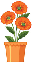 Vibrant Orange Poppies in Terracotta Pot