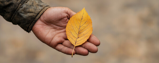 Hand holding yellow autumn leaf closeup rough skin nature background emotional fall season hope simplicity outdoors